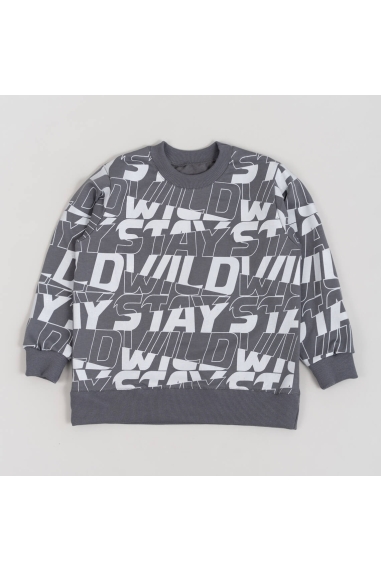 Світшот для хлопчика графіт двонитка