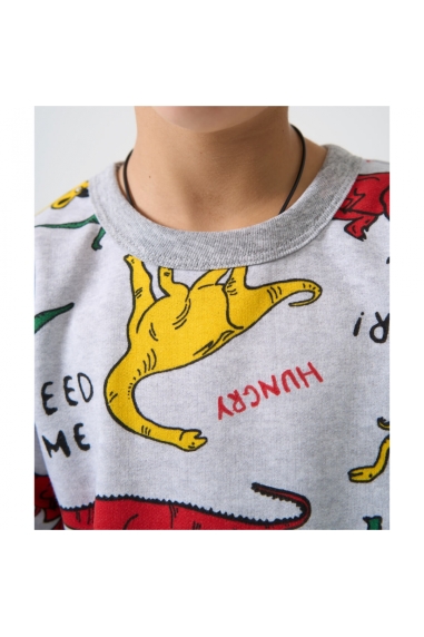 Піжама для хлопчика Діно кольорові сірий начіс(футер) - 3