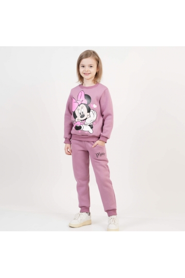 Костюм теплий для дівчинки Міні запорошена троянда тринитка на флісі