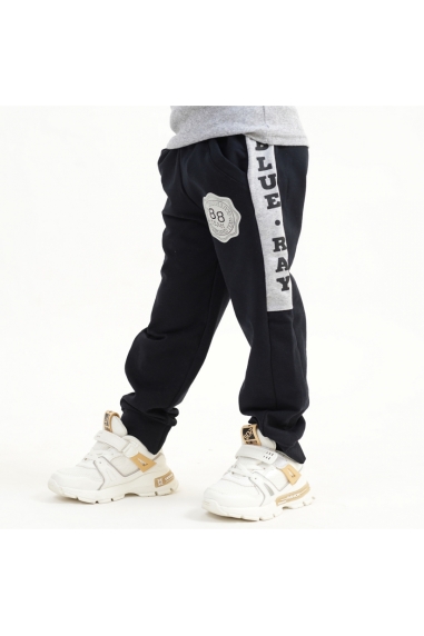 Штани для хлопчиків сірий двонитка