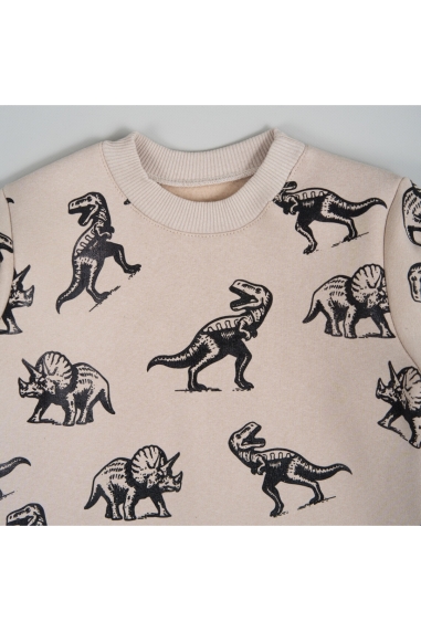 Світшот для хлопчика світлий бежевий тринитка на флісі - 1