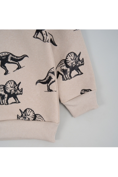 Світшот для хлопчика світлий бежевий тринитка на флісі - 2