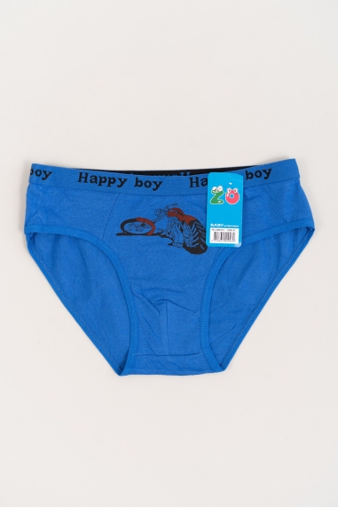 Труси для хлопчика синій бавовна