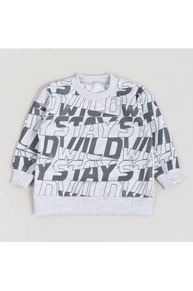 Світшот для хлопчика сірий двонитка