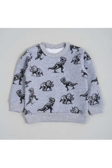 Світшот для хлопчика сірий меланж тринитка на флісі