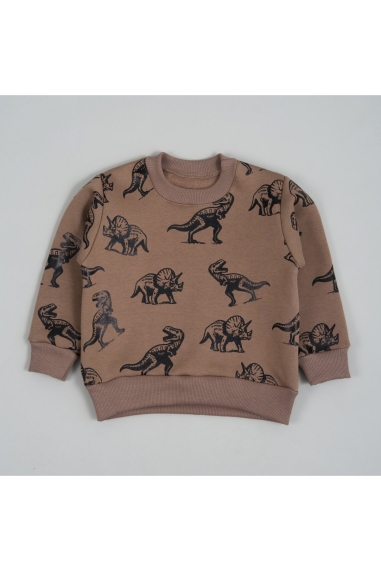 Світшот для хлопчика темний бежевий тринитка на флісі