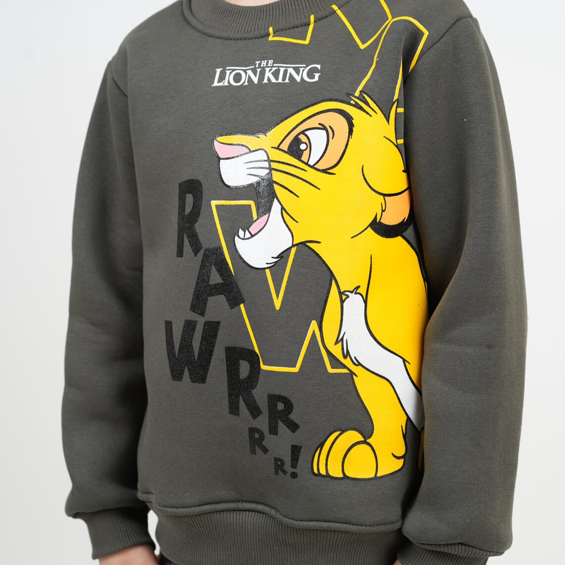 Костюм теплий для хлопчика Сімба хакі тринитка на флісі