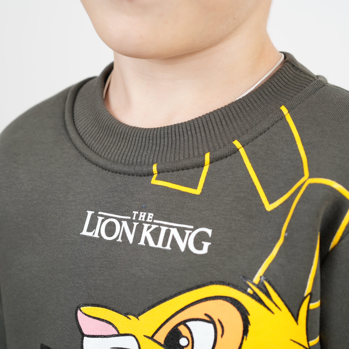 Костюм теплий для хлопчика Сімба хакі тринитка на флісі