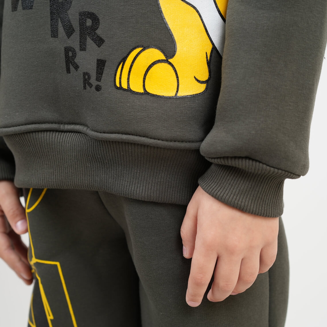 Костюм теплий для хлопчика Сімба хакі тринитка на флісі