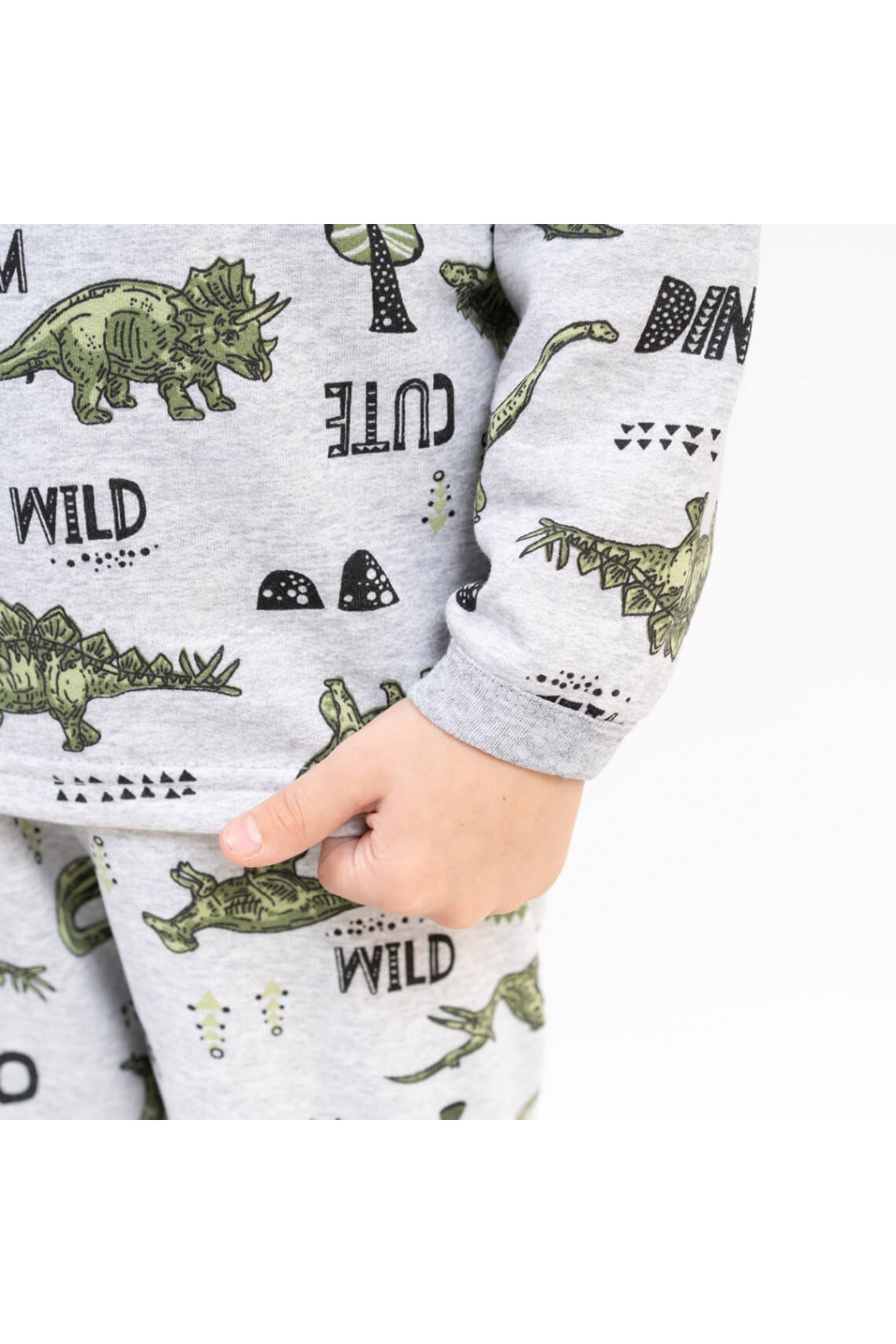 Піжама для хлопчика Зелений Діно сірий начіс (футер)