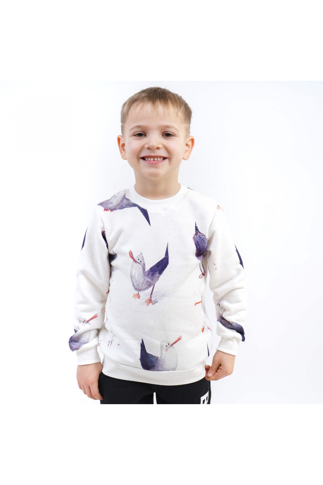 Джемпер для хлопчика Чайки білий тринитка петля