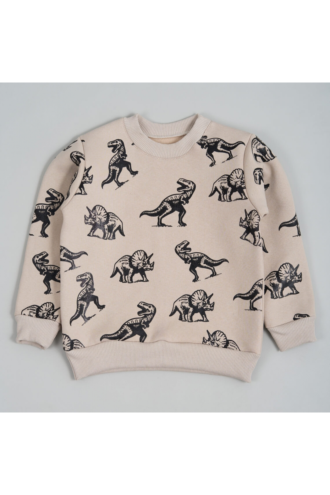 Світшот для хлопчика світлий бежевий тринитка на флісі