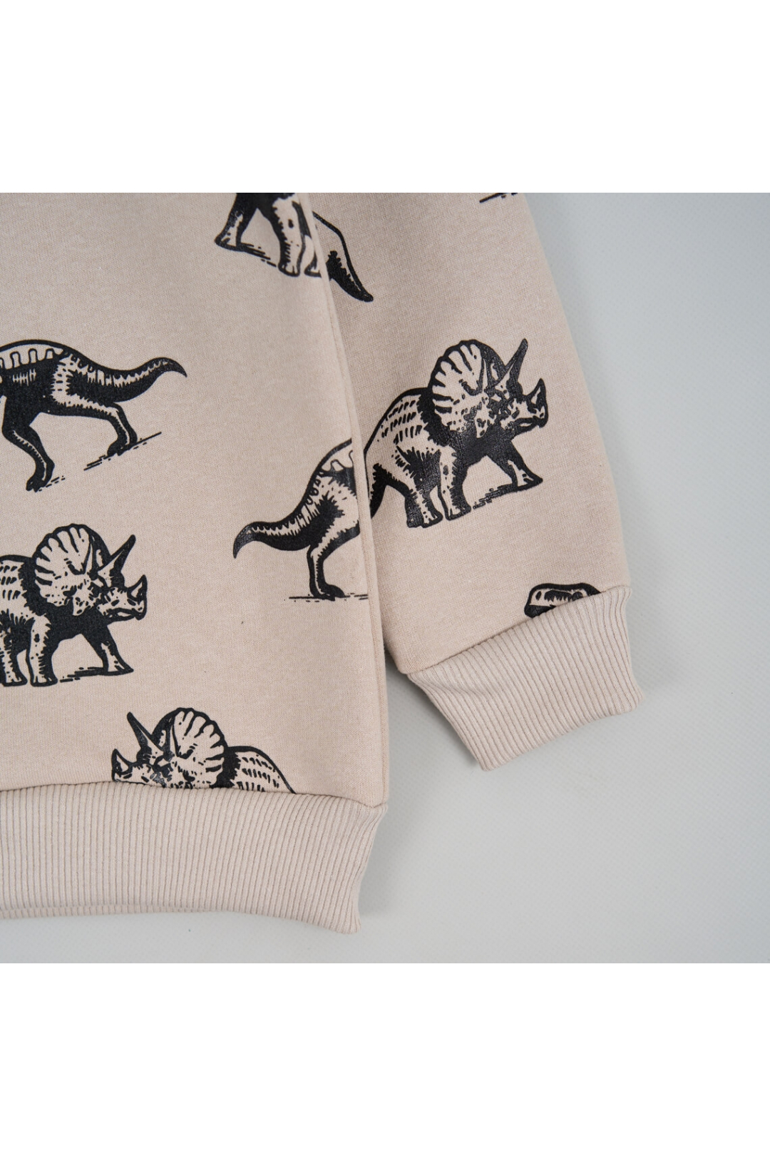 Світшот для хлопчика світлий бежевий тринитка на флісі