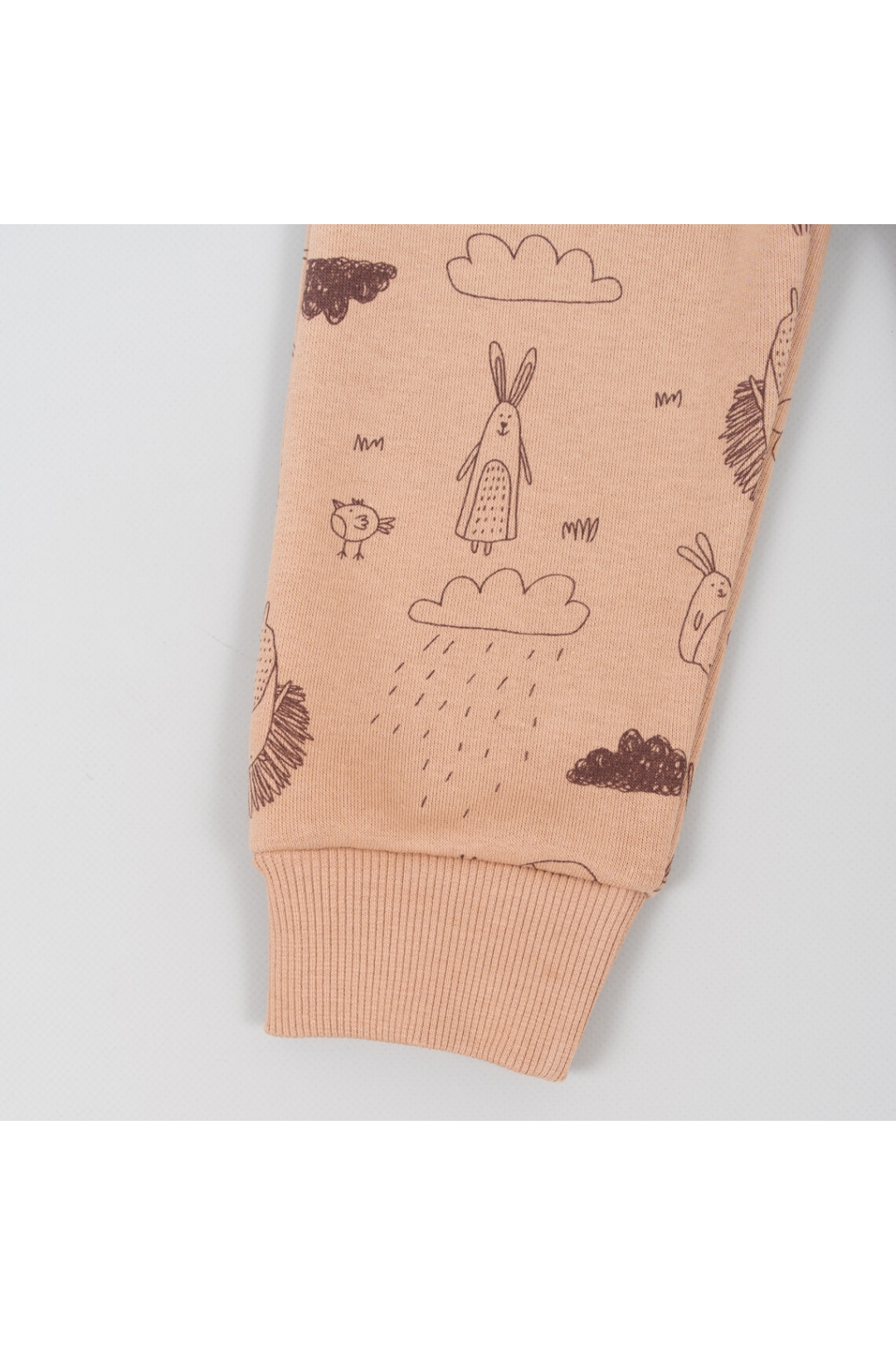 Теплі штанці для малят Лісові Звірята карамель тринитка на флісі