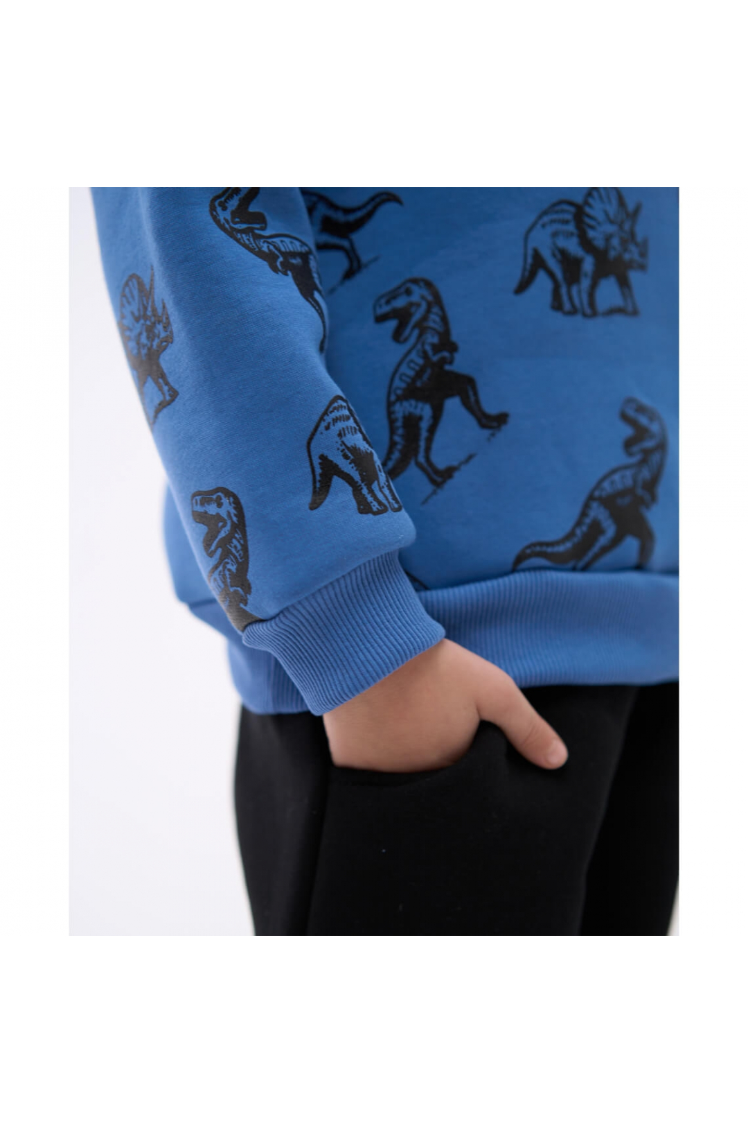 Світшот для хлопчика синій тринитка на флісі