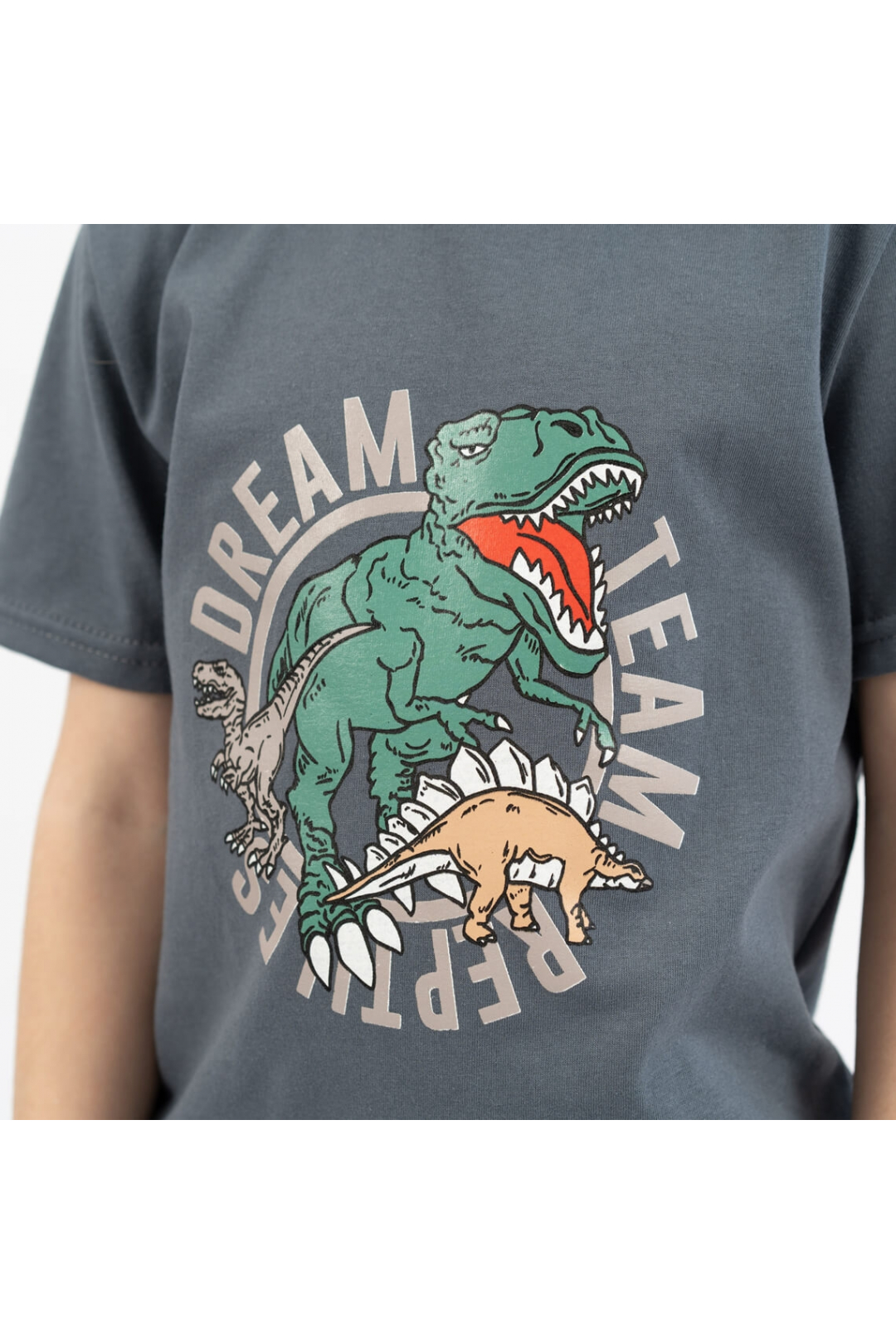 Футболка для хлопчика Діно темно-сірий кулір