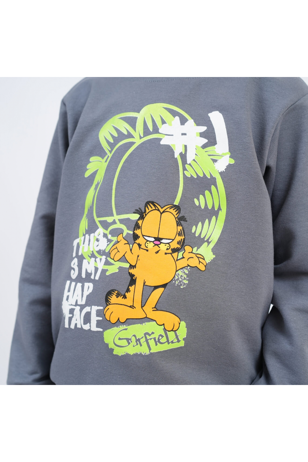 Світшот для хлопчика Гарфілд графіт двунитка