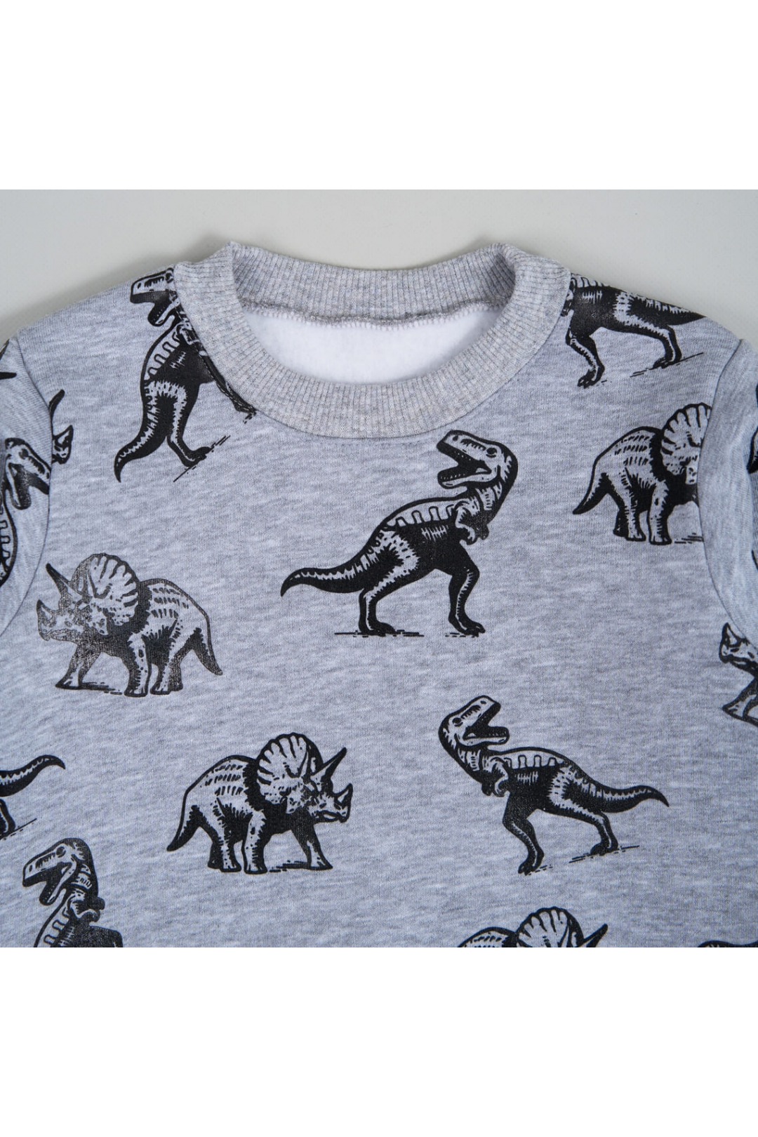 Світшот для хлопчика сірий меланж тринитка на флісі