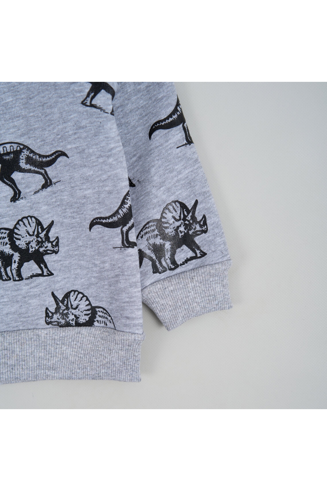 Світшот для хлопчика сірий меланж тринитка на флісі