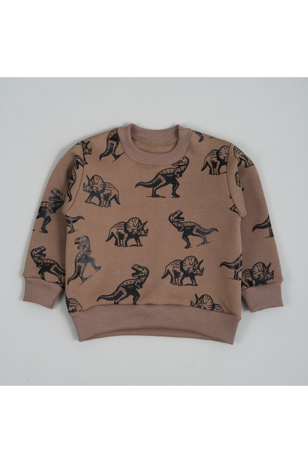 Світшот для хлопчика темний бежевий тринитка на флісі